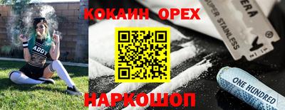 сатива Аргун