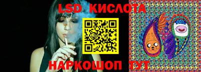 apvp Новодвинск